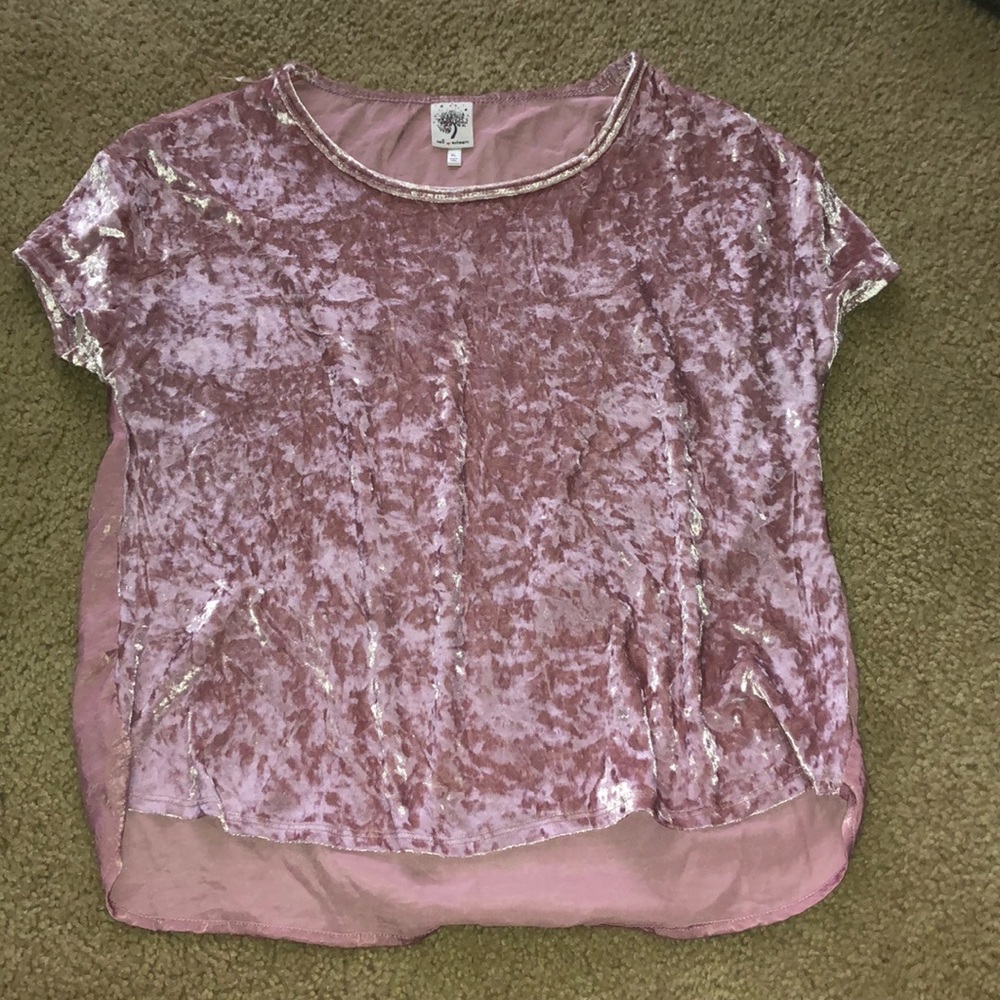 Pink Velvet Top